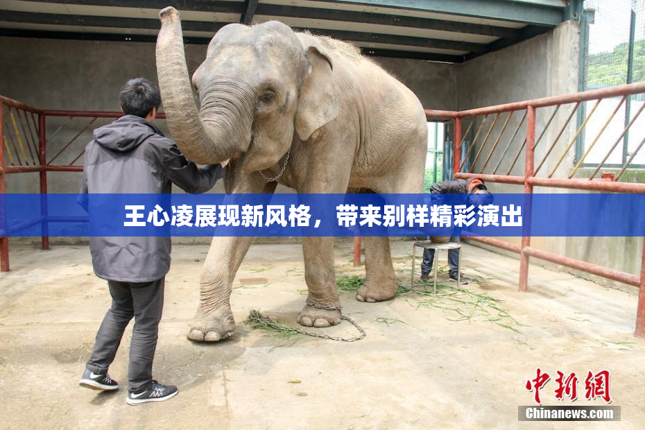 王心凌展现新风格，带来别样精彩演出