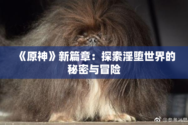 《原神》新篇章：探索淫堕世界的秘密与冒险
