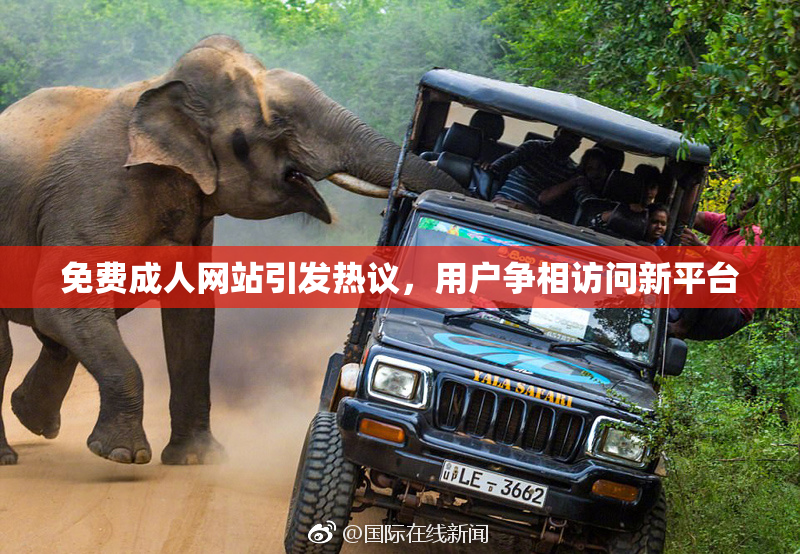 免费成人网站引发热议，用户争相访问新平台