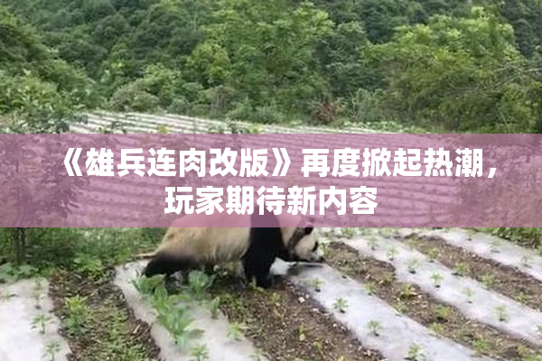 《雄兵连肉改版》再度掀起热潮，玩家期待新内容