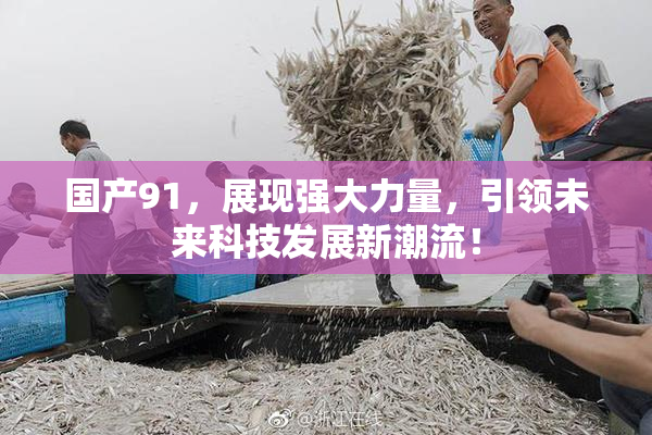 国产91，展现强大力量，引领未来科技发展新潮流！