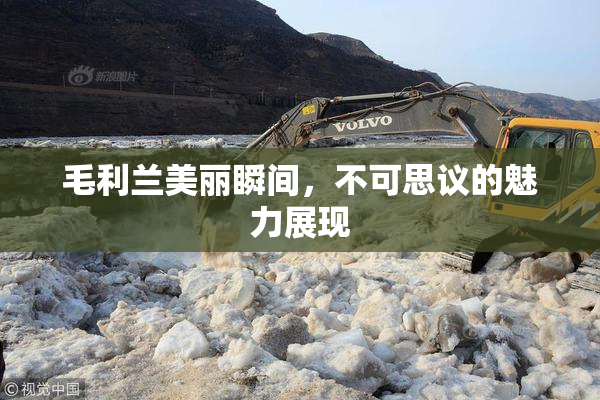 毛利兰美丽瞬间，不可思议的魅力展现