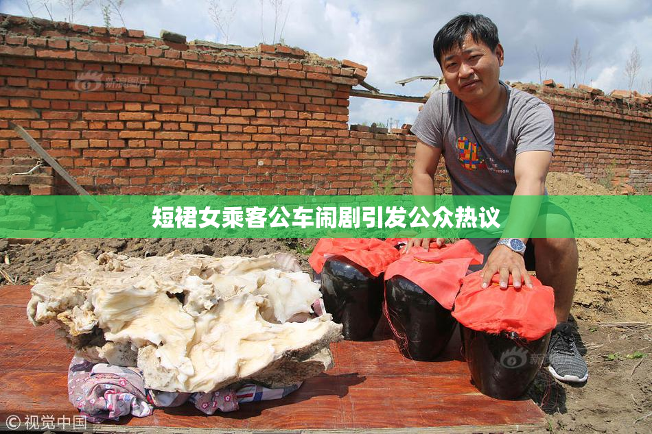 短裙女乘客公车闹剧引发公众热议