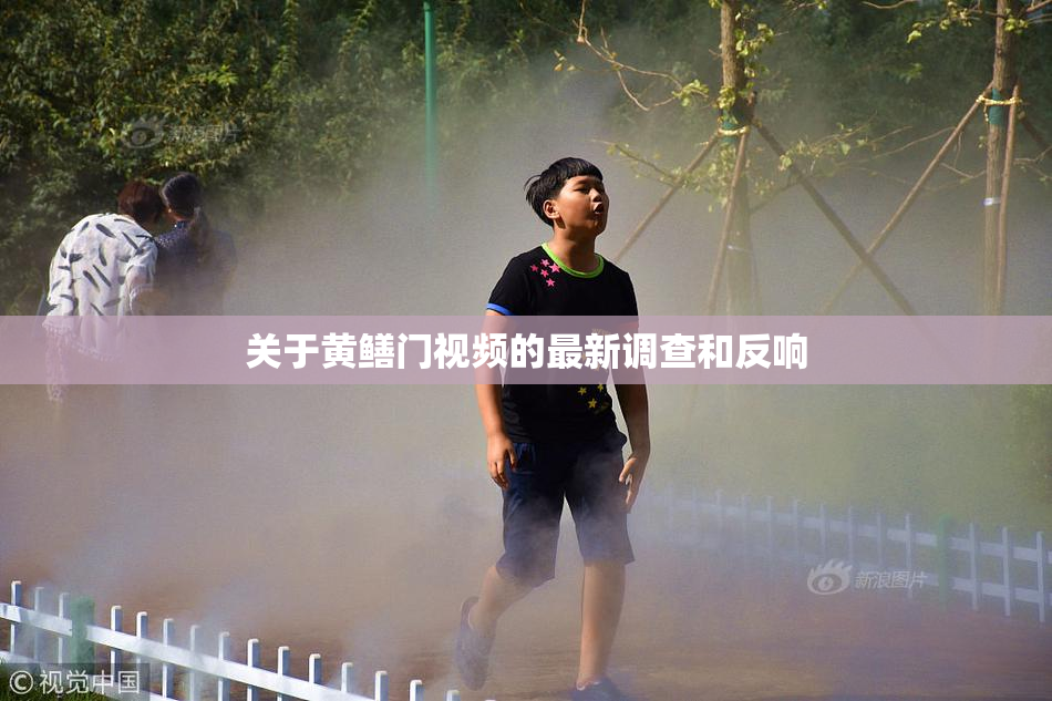 关于黄鳝门视频的最新调查和反响