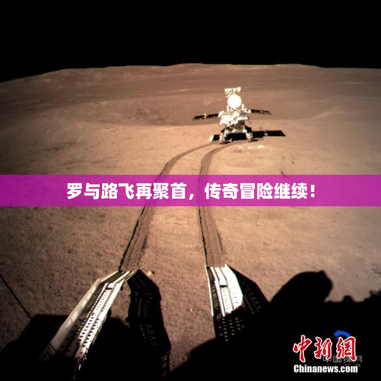 罗与路飞再聚首，传奇冒险继续！