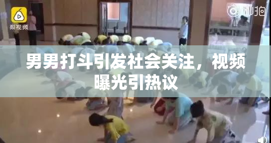 男男打斗引发社会关注，视频曝光引热议