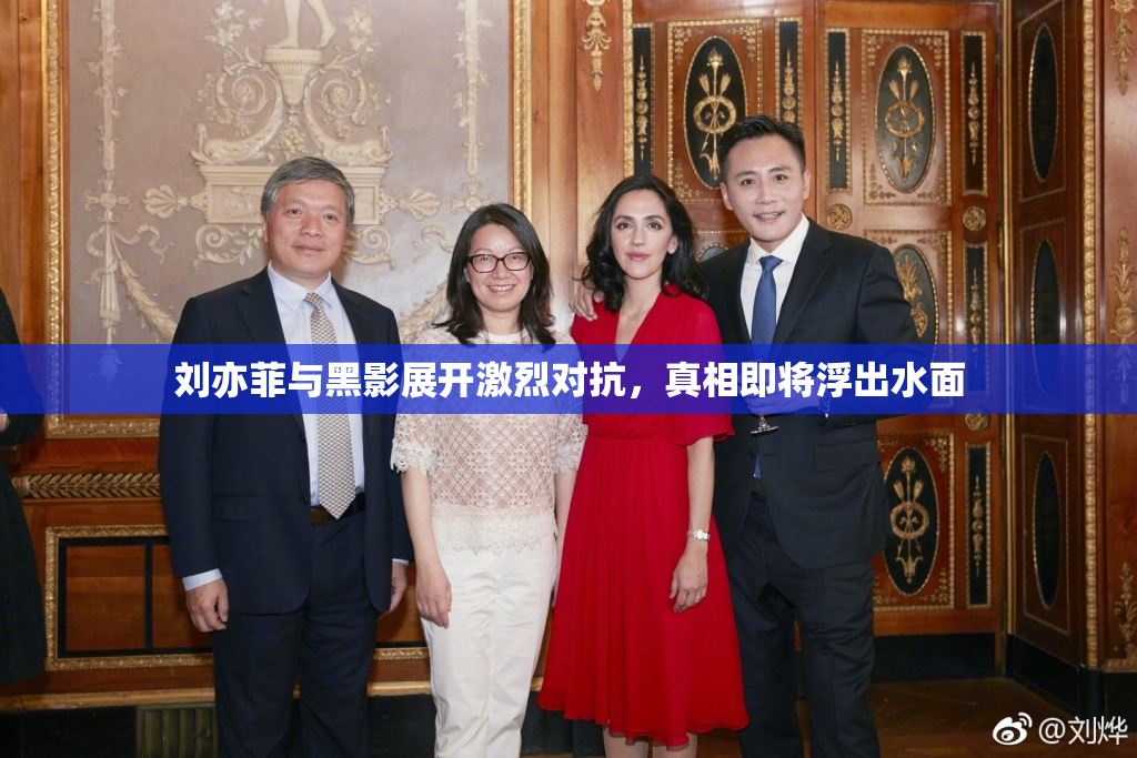刘亦菲与黑影展开激烈对抗，真相即将浮出水面
