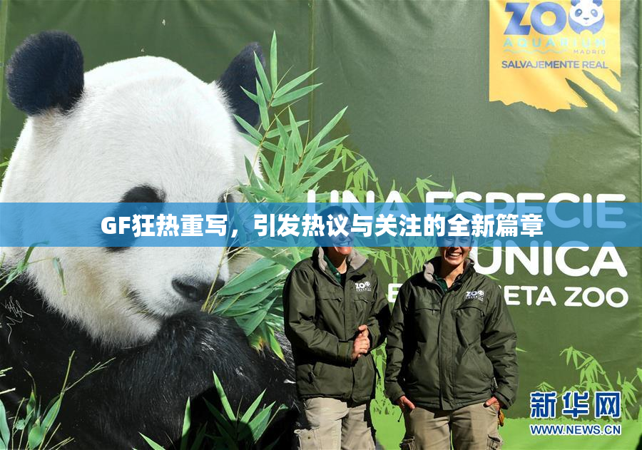 GF狂热重写，引发热议与关注的全新篇章