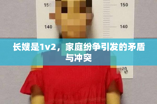 长嫂是1v2，家庭纷争引发的矛盾与冲突