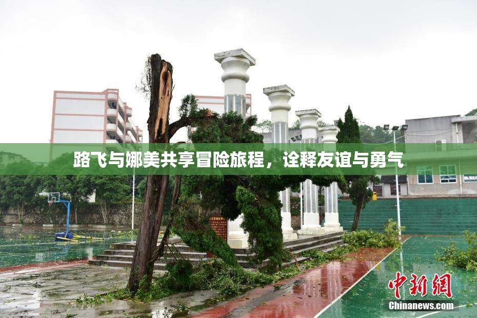 路飞与娜美共享冒险旅程，诠释友谊与勇气
