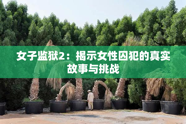 女子监狱2：揭示女性囚犯的真实故事与挑战