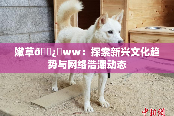 嫩草🌿‌ww：探索新兴文化趋势与网络浩潮动态