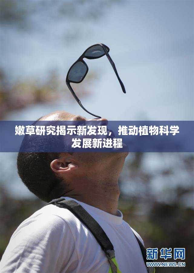 嫩草研究揭示新发现，推动植物科学发展新进程