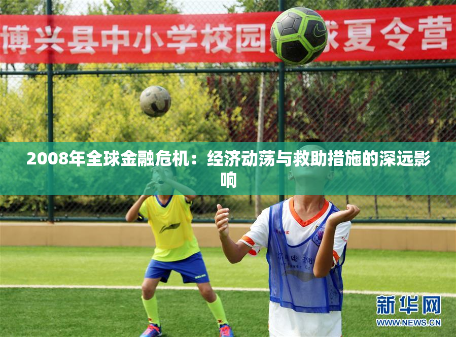 2008年全球金融危机：经济动荡与救助措施的深远影响