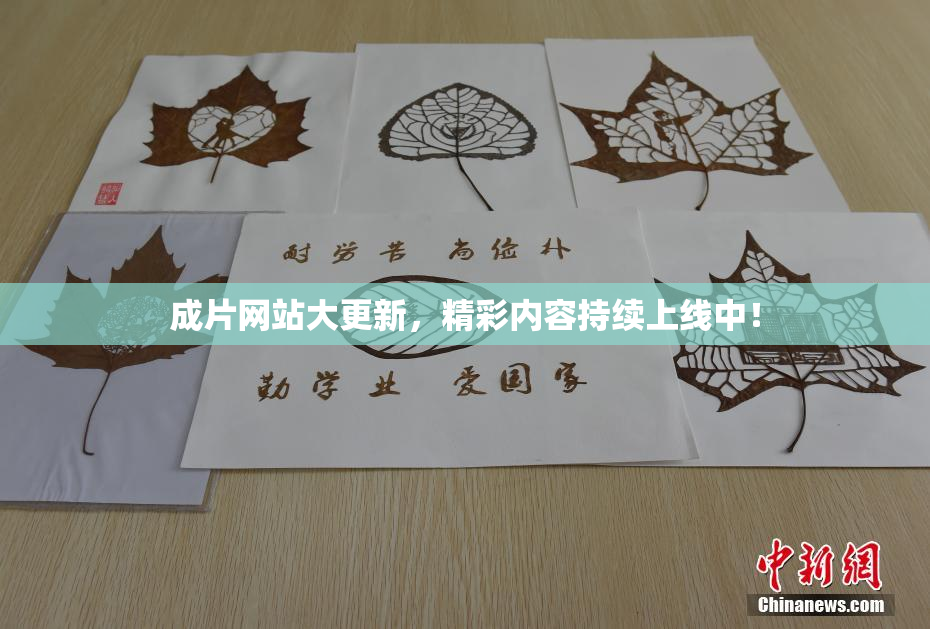 成片网站大更新，精彩内容持续上线中！