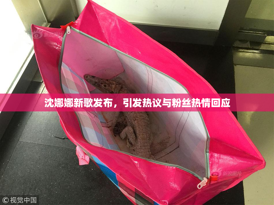 沈娜娜新歌发布，引发热议与粉丝热情回应