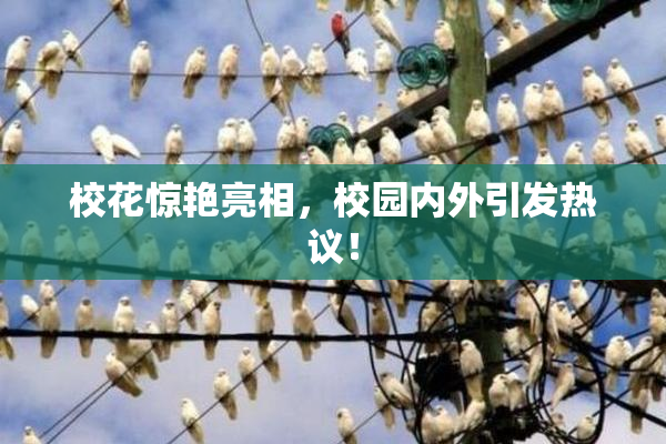 校花惊艳亮相，校园内外引发热议！
