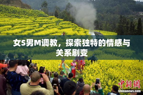 女S男M调教，探索独特的情感与关系剧变