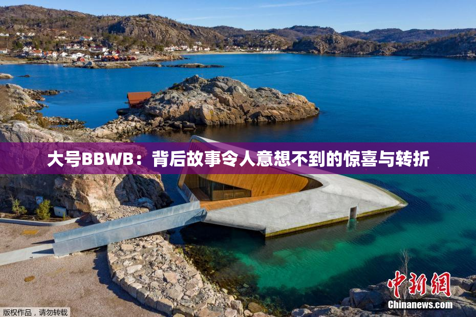 大号BBWB：背后故事令人意想不到的惊喜与转折