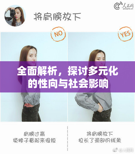 全面解析，探讨多元化的性向与社会影响