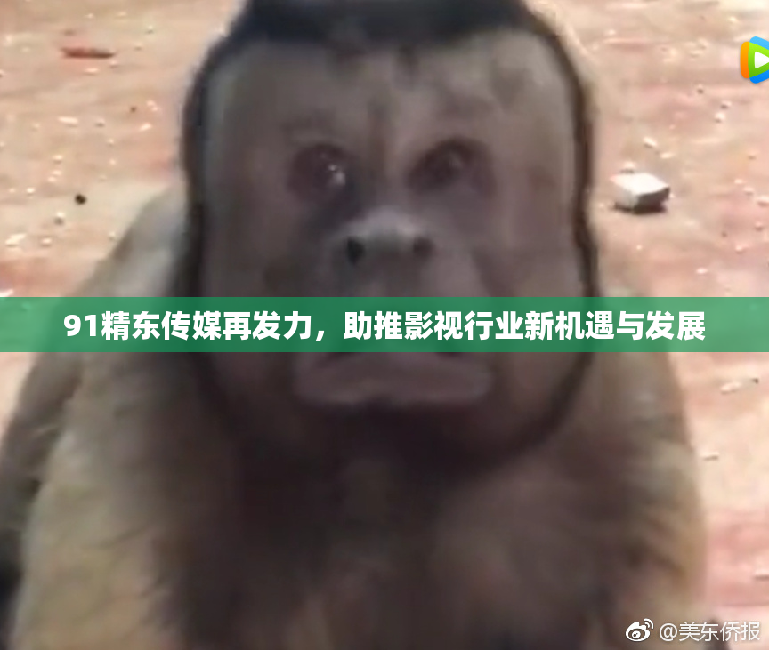 91精东传媒再发力，助推影视行业新机遇与发展