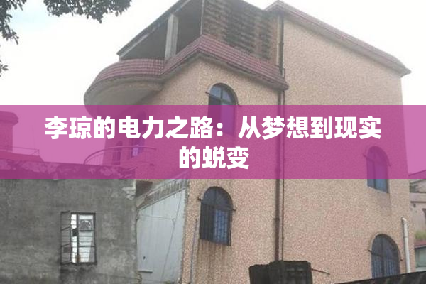 李琼的电力之路：从梦想到现实的蜕变