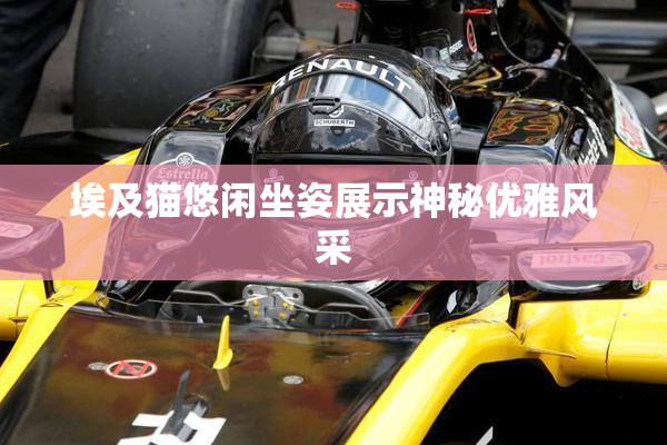埃及猫悠闲坐姿展示神秘优雅风采