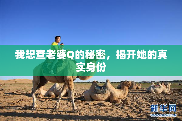 我想查老婆Q的秘密，揭开她的真实身份