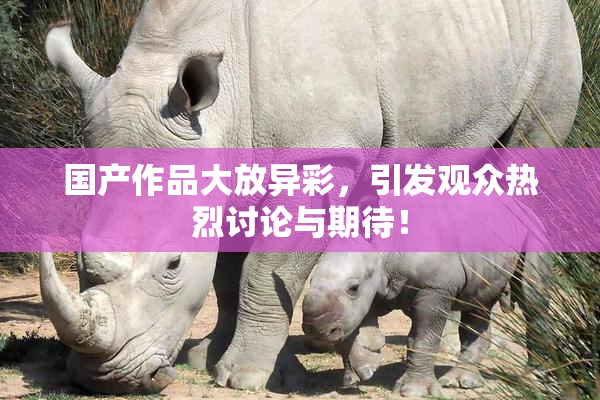 国产作品大放异彩，引发观众热烈讨论与期待！