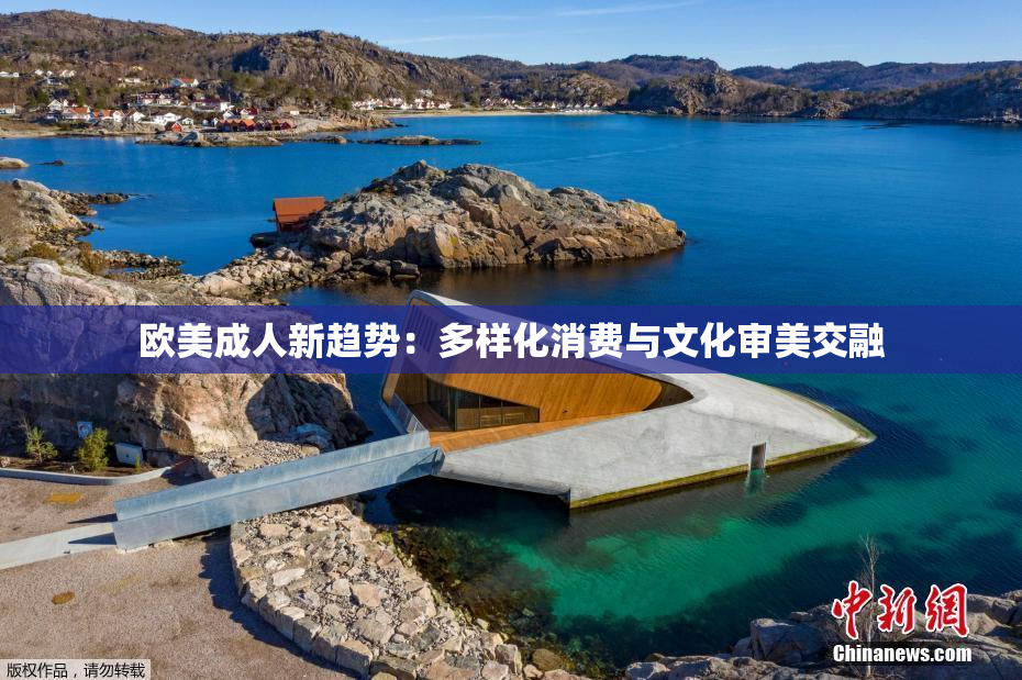 欧美成人新趋势：多样化消费与文化审美交融