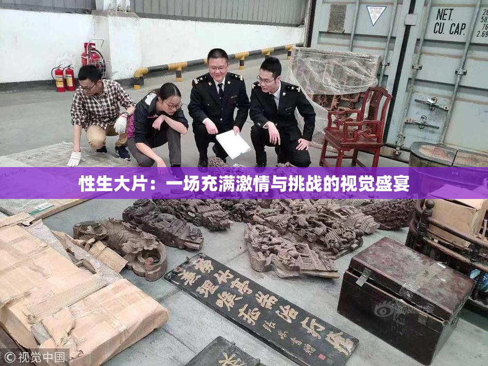 性生大片：一场充满激情与挑战的视觉盛宴