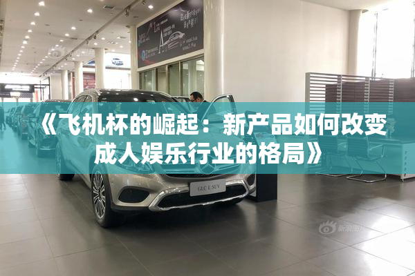 《飞机杯的崛起：新产品如何改变成人娱乐行业的格局》