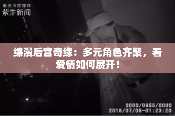 综漫后宫奇缘：多元角色齐聚，看爱情如何展开！