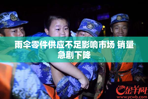雨伞零件供应不足影响市场 销量急剧下降