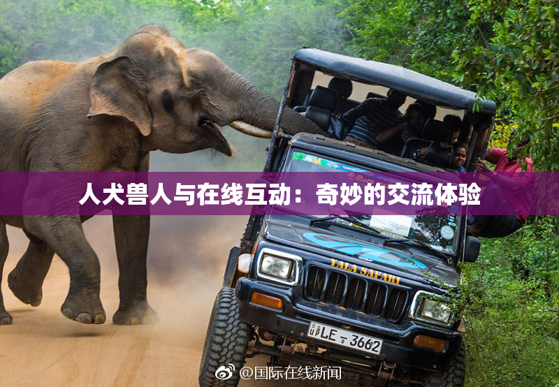 人犬兽人与在线互动：奇妙的交流体验