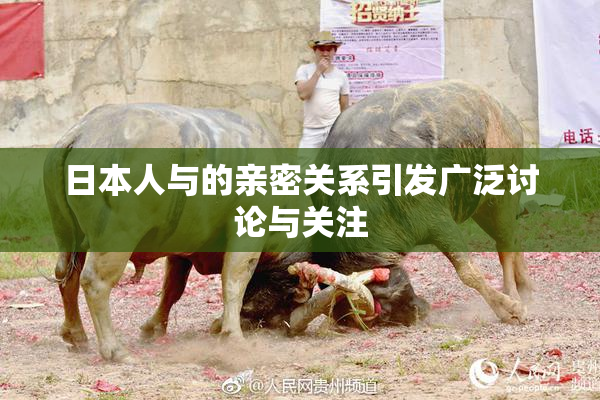 日本人与的亲密关系引发广泛讨论与关注