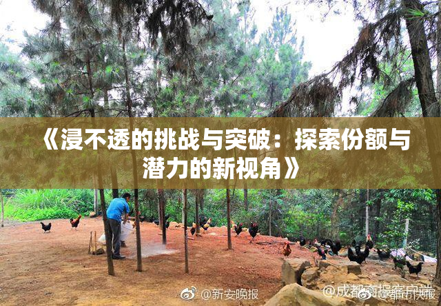 《浸不透的挑战与突破：探索份额与潜力的新视角》