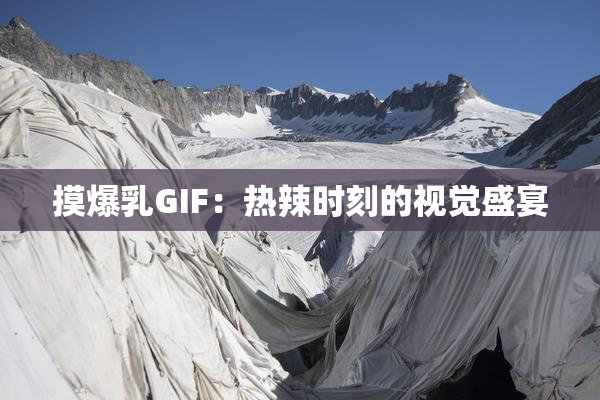 摸爆乳GIF：热辣时刻的视觉盛宴