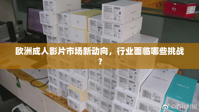 欧洲成人影片市场新动向，行业面临哪些挑战？