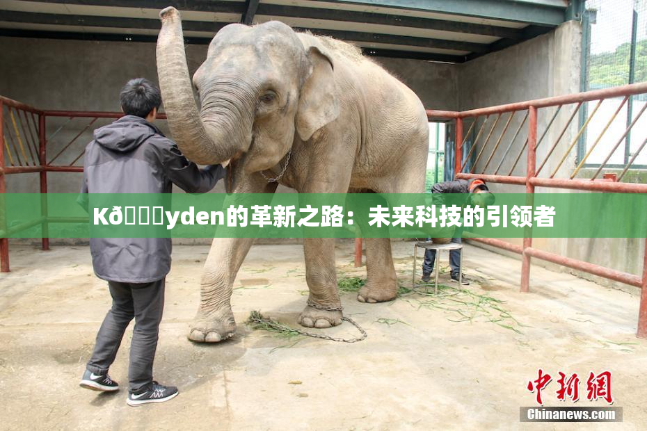 K🈚yden的革新之路：未来科技的引领者