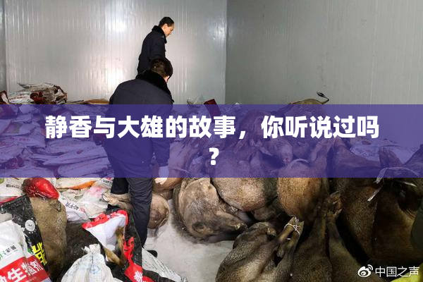 静香与大雄的故事，你听说过吗？