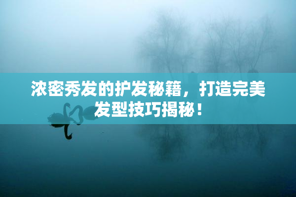 浓密秀发的护发秘籍，打造完美发型技巧揭秘！