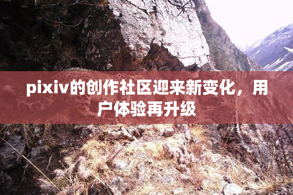 pixiv的创作社区迎来新变化，用户体验再升级