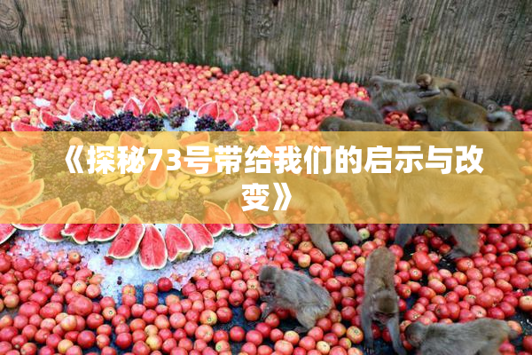 《探秘73号带给我们的启示与改变》