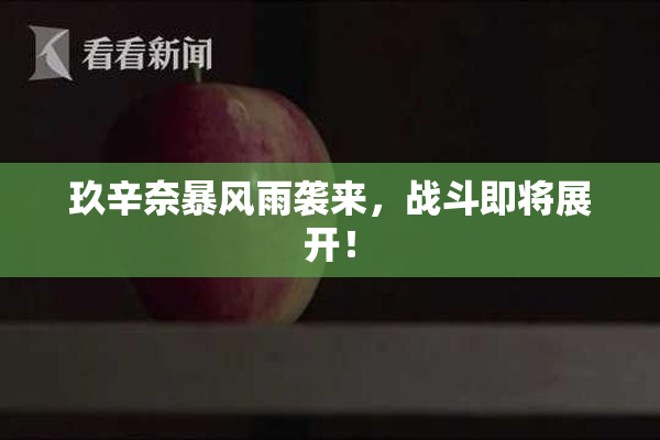 玖辛奈暴风雨袭来，战斗即将展开！
