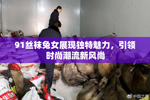 91丝袜兔女展现独特魅力，引领时尚潮流新风尚