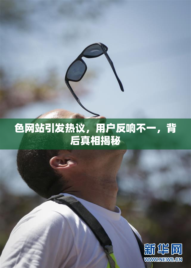 色网站引发热议，用户反响不一，背后真相揭秘