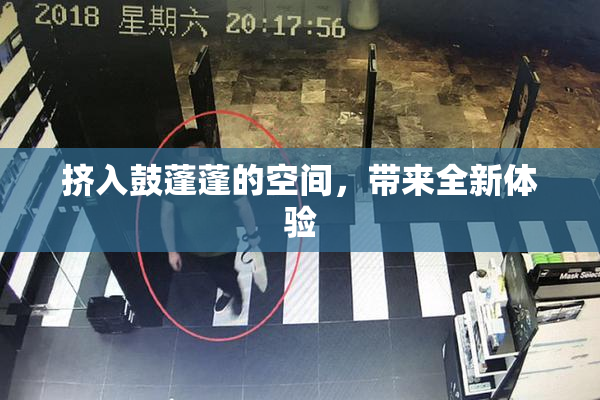 挤入鼓蓬蓬的空间，带来全新体验