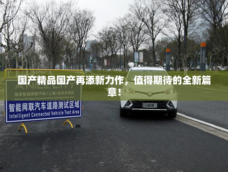 国产精品国产再添新力作，值得期待的全新篇章！