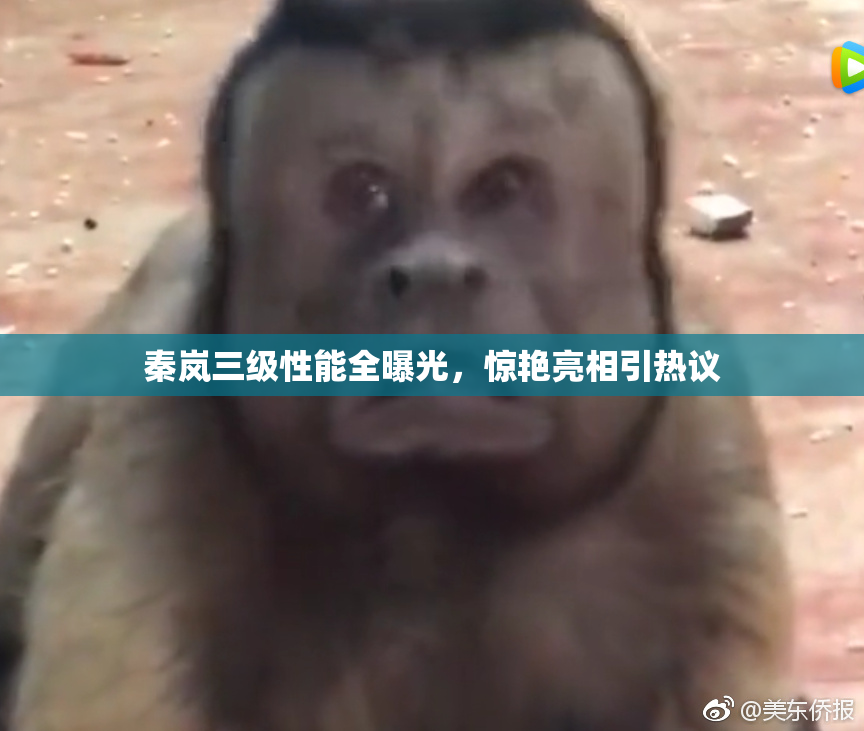秦岚三级性能全曝光，惊艳亮相引热议